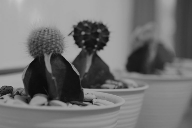 Memetik Makna dari Penderitaan